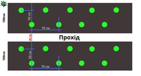 Схема посадки семян с указанием глубины и оптимального расстояния