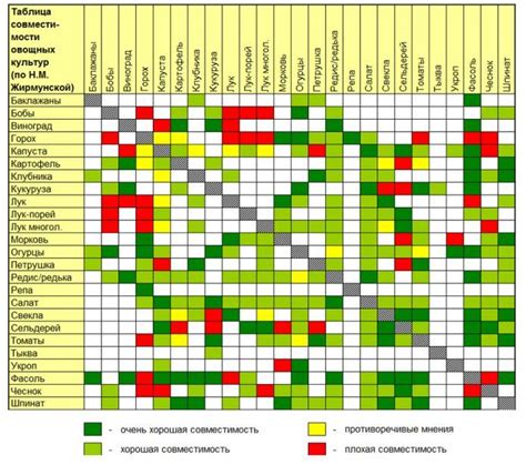 Схема совместимости растений для огорода: хорошие и плохие соседи