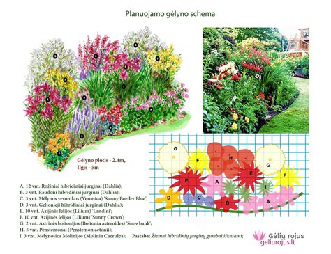 gėlyno planavimo schema