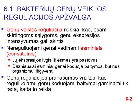 Sėklidžių hormoninės reguliacijos schema