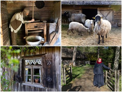 Nuotrauka, vaizduojanti Ėriškių kaimo vaizdą