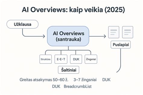 Schema: Kaip veikia personalizuota reklama ir turinys