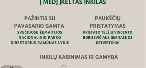 Inkilų gamyba mokykloje