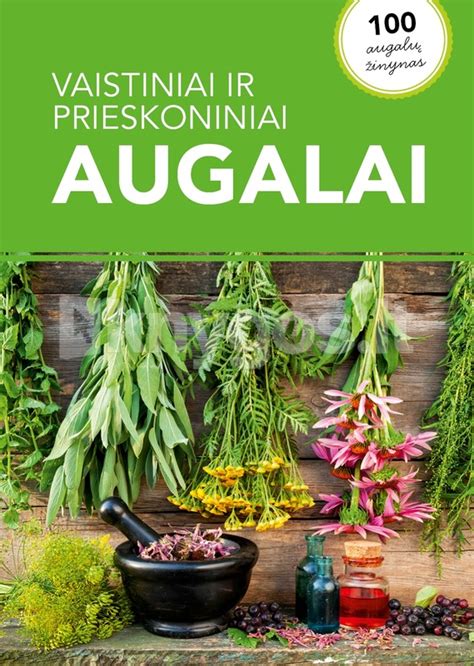 Prieskoniniai augalai, auginami skurdesnėmis sąlygomis