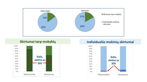 Diagrama, rodanti mokinių pasiekimų skirtumus