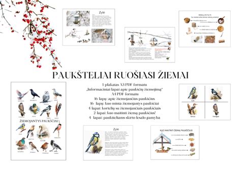 Vaikai stebi paukščius Paukščių alėjoje