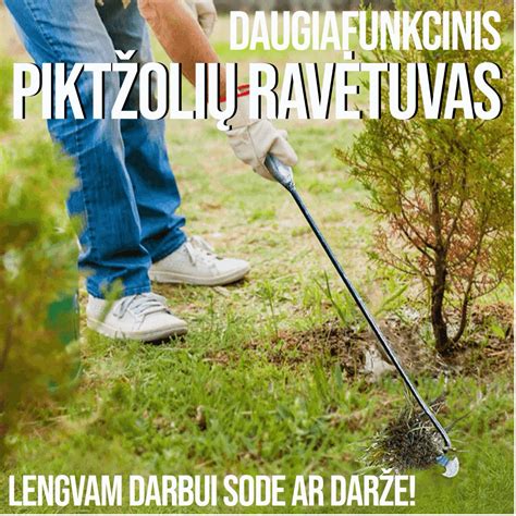 piktžolių naikinimo darže apžvalga