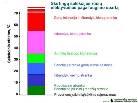 skirtingų rūšių piktžolių atpažinimo schema