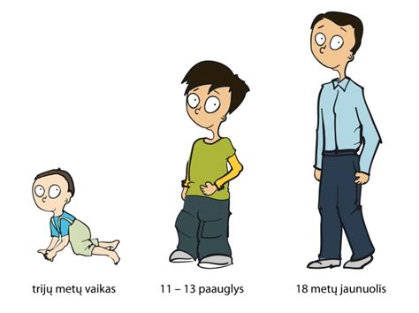 Mergaitės brendimo etapai ir pirmųjų mėnesinių atsiradimas