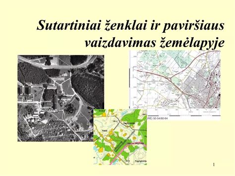 Karūnos vaizdavimas