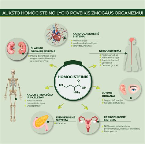 Infografika apie makšties mikofloros pusiausvyrą