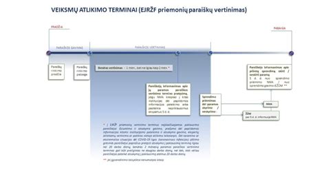 Prevencinių programų vertinimo schema ir dokumentacijos procesas