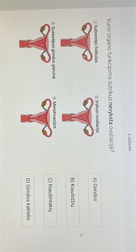 Kiaušialąstės išsilaisvinimas iš kiaušidės (ovuliacija)