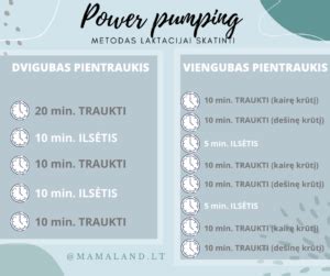 Laktacijos specialistės konsultacija dėl tinkamiausio pientraukio