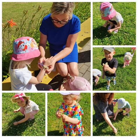 Pavasarinės purienos ir gvazdikai pievoje