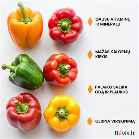 Schematinis obuolių naudos organizmui pavaizdavimas