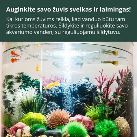 Gėlavandenio akvariumo tipų schema