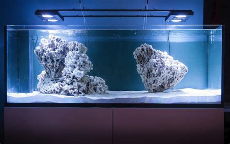 Akvariumo dekoracijų pavyzdžiai