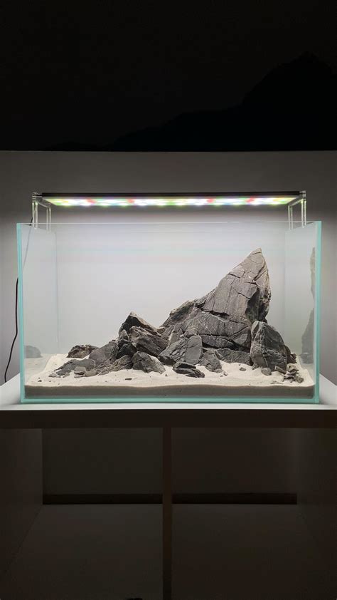 Iwagumi akvariumo stiliaus pavyzdys