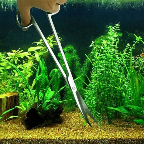 Akvariumo priežiūros įrankiai