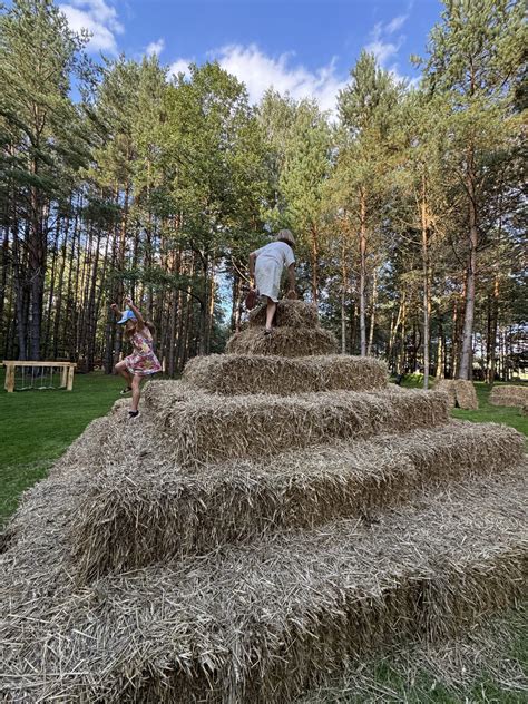 Šeimos pramogos Ovos parke rudens metu