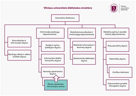 Lietuvos piliečių vardų duomenų bazės struktūra