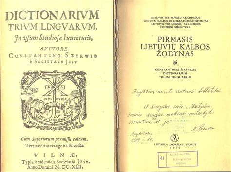 Lietuvių kalbos gramatinių giminių iliustracija