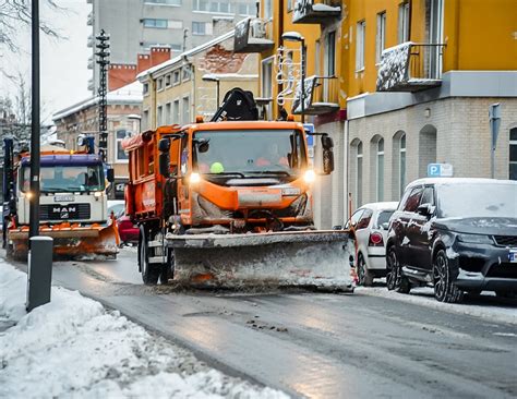Sniegu apklotas miškas ir pūgos