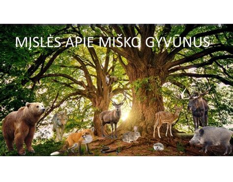 Miško gyvūnai aplink Kalėdų eglutę