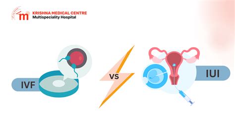 Intrauterininės inseminacijos (IUI) principas