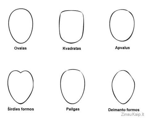 Veido formų ir makiažo optinių efektų schema