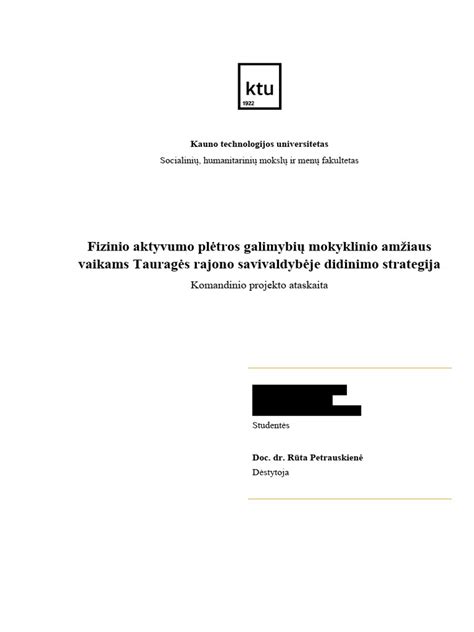 Kredito ataskaitos pavyzdys