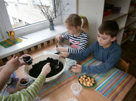 vaikai tyrinėjantys sėklas ir dirvožemį
