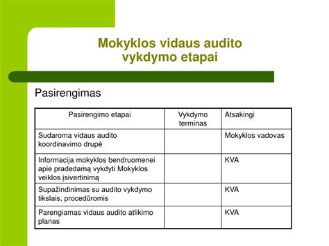 schema, vaizduojanti vidaus audito ciklą mokykloje