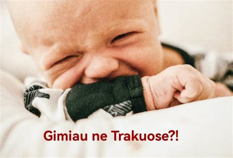 Trakų ligoninės akušerijos skyriaus gimdykla su vonia