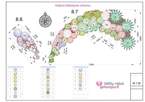 Terasuoto šlaito schema su augalų išdėstymo pavyzdžiais