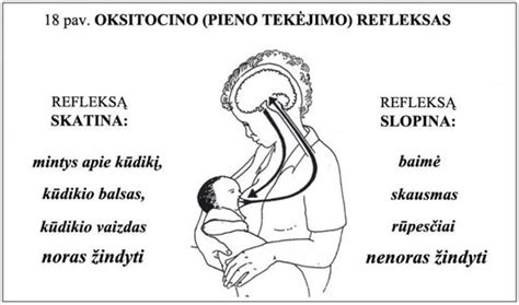 taisyklingas kūdikio priglaudimas prie krūties
