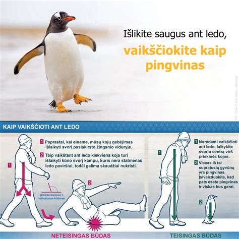 Saugumo ženklai ir sertifikatai ant kėdučių