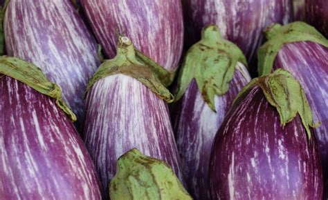Derlius šviežių violetinių baklažanų