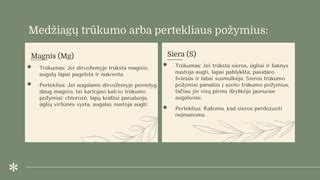 Makroelementų trūkumo požymiai augaluose