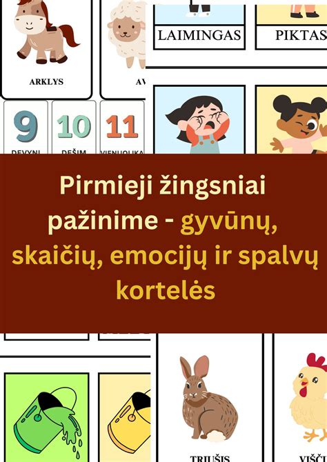 Pirmieji vaiko žingsniai ir aplinkos pažinimas