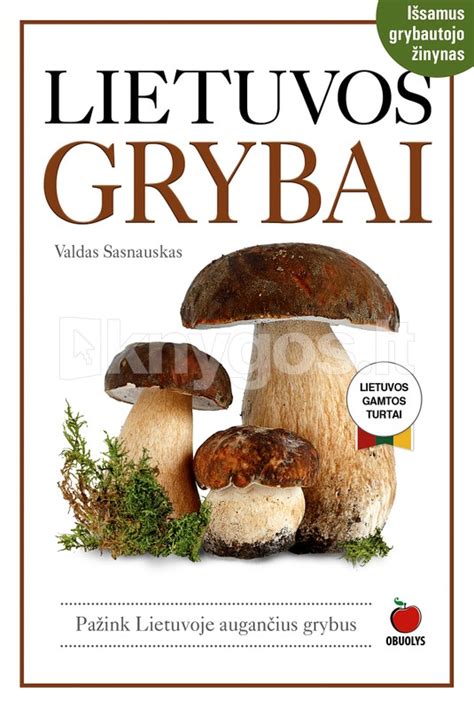 Lietuvos grybai knygos viršelis