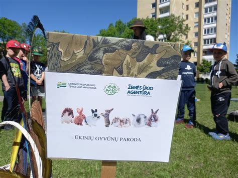 Panevėžio lopšelio-darželio „Taika“ pastatas ir kiemas su žaidimų aikštelėmis