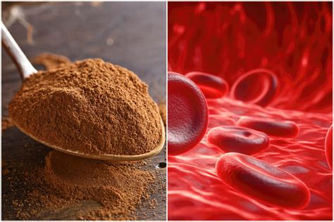 Elnių placenta kaip maisto papildų sudedamoji dalis
