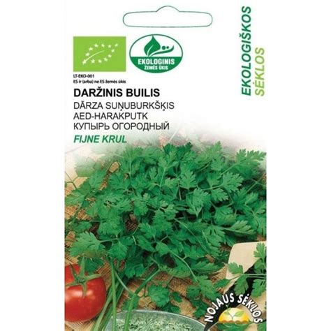 Daržinis builis (Anthriscus cerefolium) su smulkiai karpytais lapais