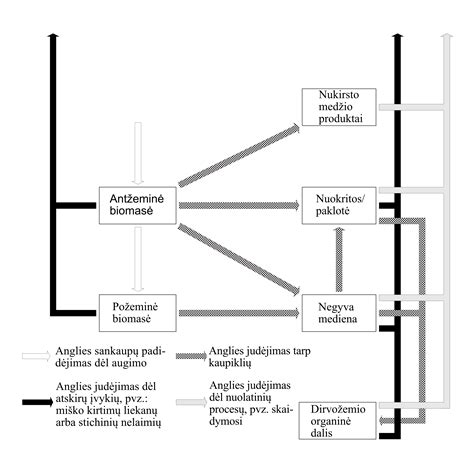 Schema, iliustruojanti žemės ūkio pajamų apmokestinimo tvarką
