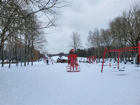 bėgikas žiemos parke