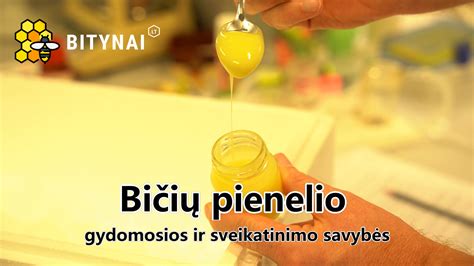 Bičių pienelio naudos infografika