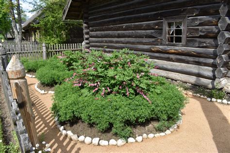 Tradicinis lietuviškas gėlių darželis