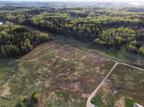 Miško ar gamtos aplinka šalia darželio